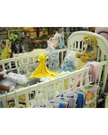 View Our Store